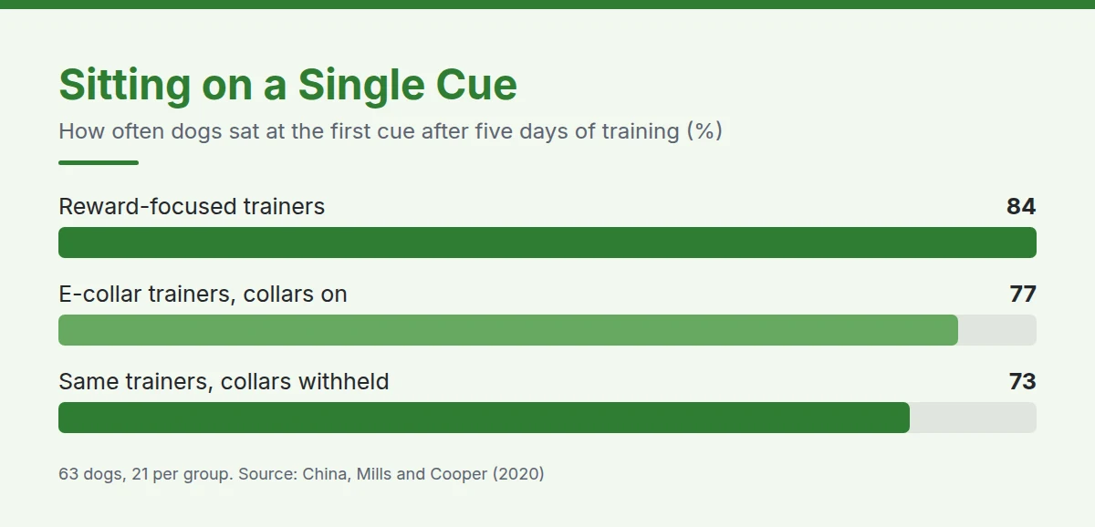 Summary card: Sitting on a Single Cue