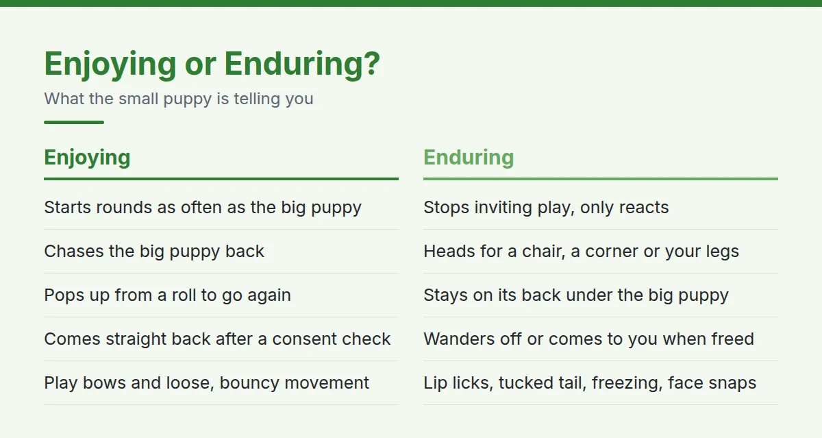 Summary card: Enjoying or Enduring?