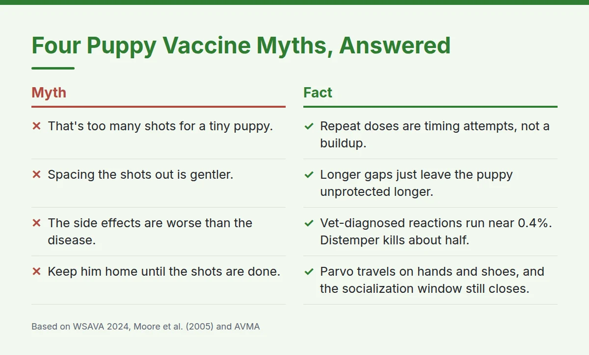 Summary card: Four Puppy Vaccine Myths, Answered