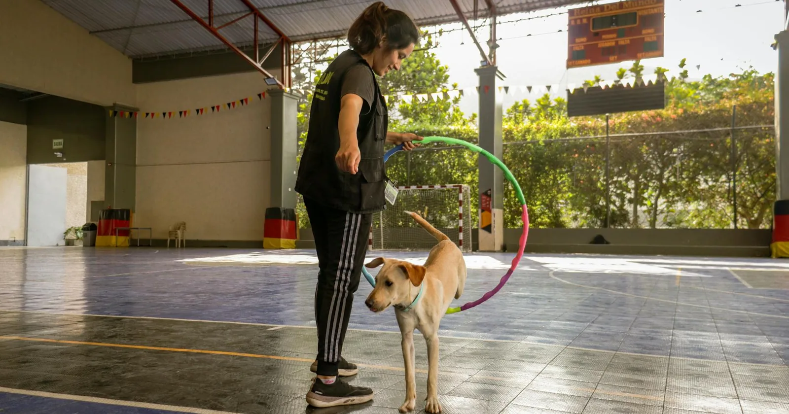A woman training a dog indoors during a class session.
