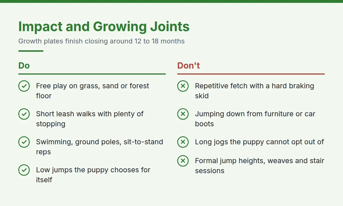 Summary card: Impact and Growing Joints