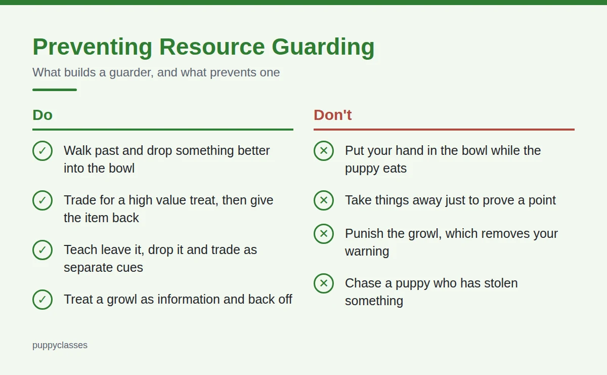 Summary card: Preventing Resource Guarding