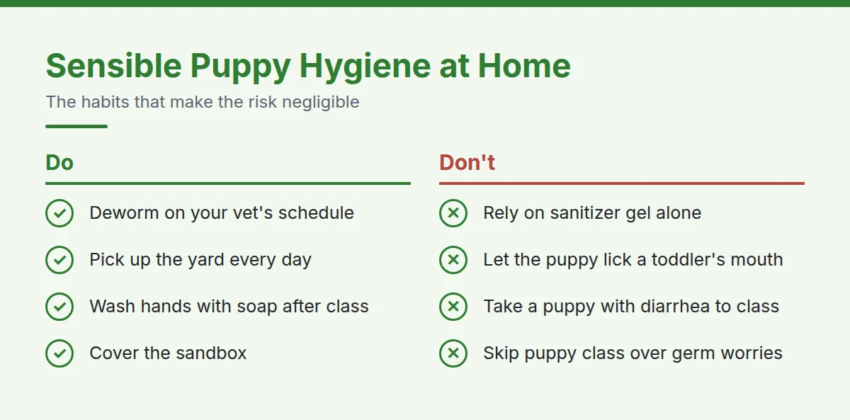 Summary card: Sensible Puppy Hygiene at Home