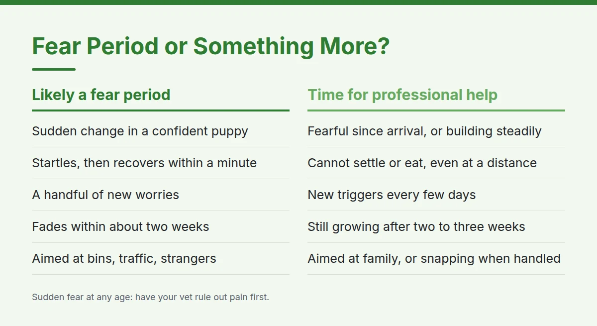Summary card: Fear Period or Something More?