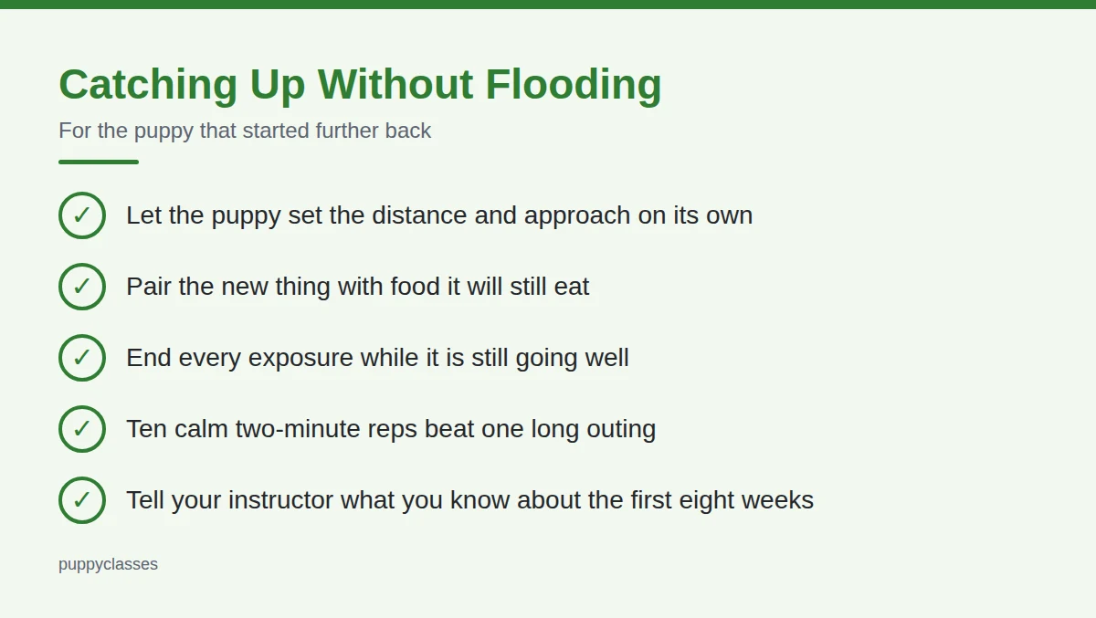 Summary card: Catching Up Without Flooding