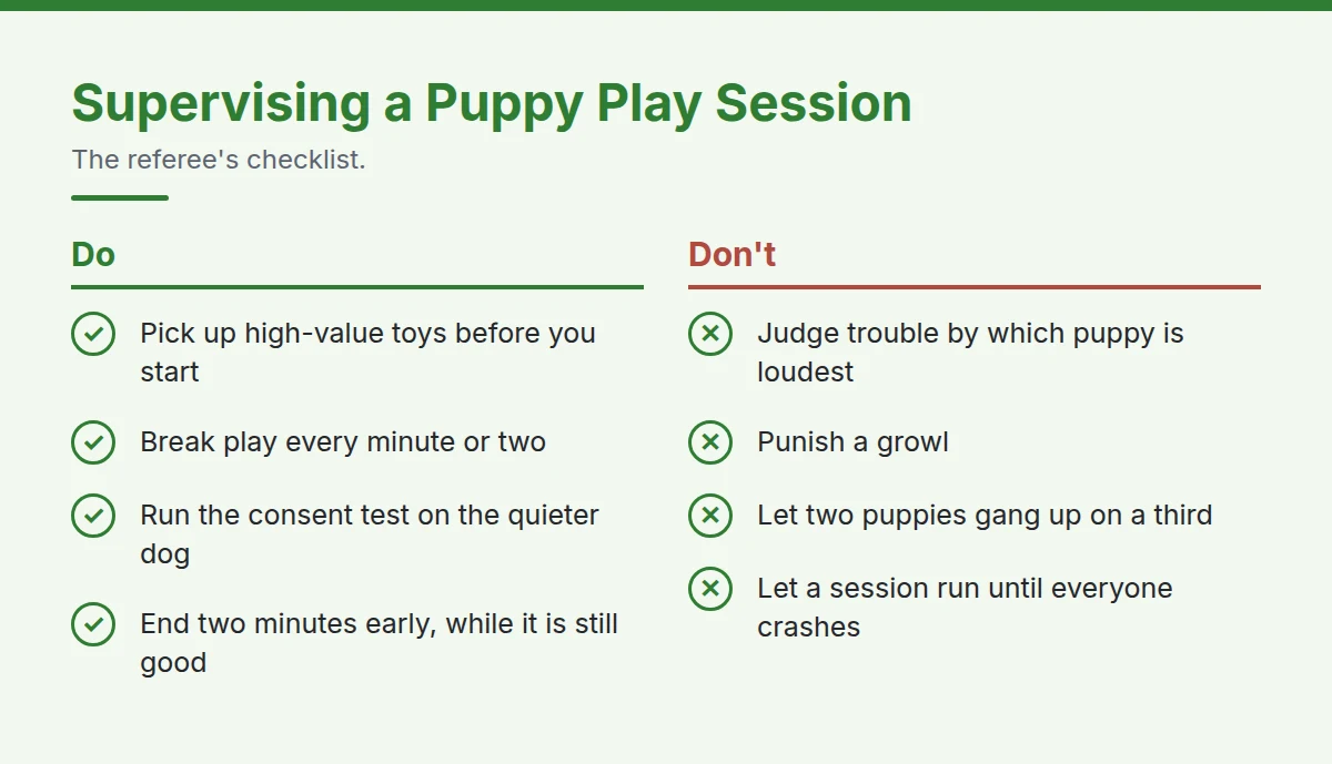 Summary card: Supervising a Puppy Play Session