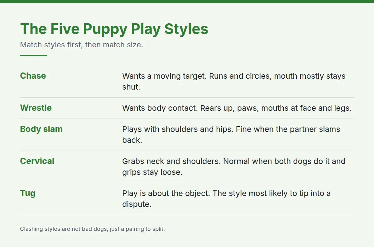 Summary card: The Five Puppy Play Styles