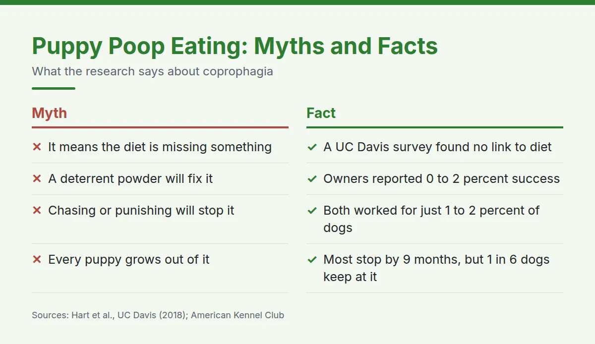 Summary card: Puppy Poop Eating, Myths and Facts